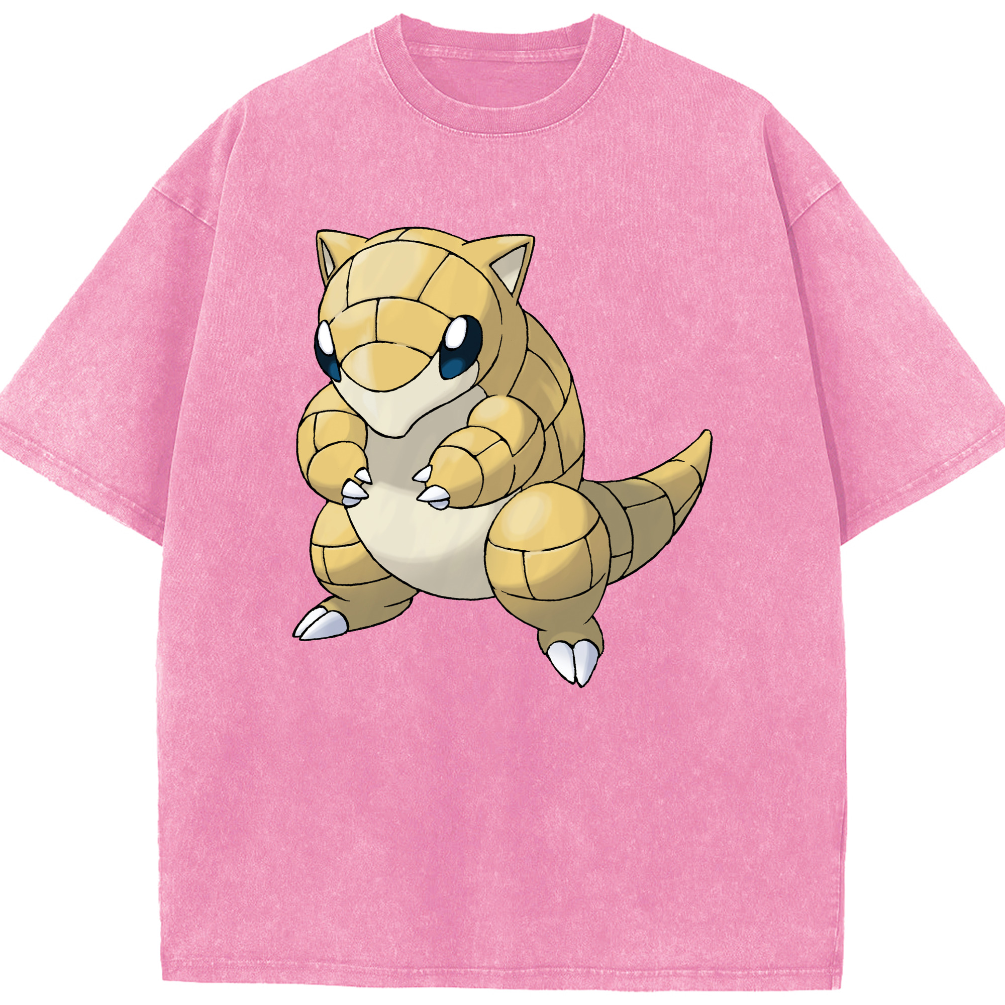 （画像用） ポケットモンスター Pokémon 綿100% ヴィンテージ風 半袖Tシャツ（フロントプリント）